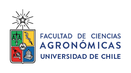 Aula Virtual